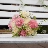 Pink and Cream Carnations