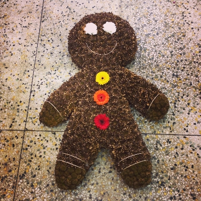 Ginger Bread Man