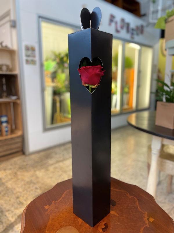 Single red rose in gift bag