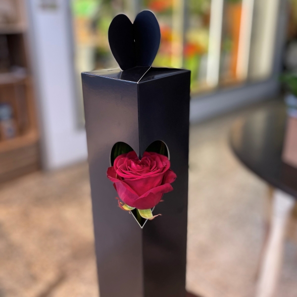 Single red rose in gift bag